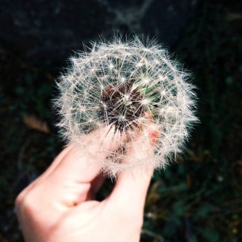 Are You Sick of Seasonal Allergies and Sinusitis? Consider an Integrative Approach!