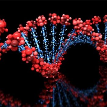 Explaining Genetics Part 2: The Significance of MTHFR Variants
