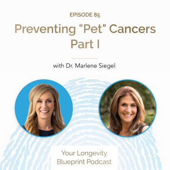85. Preventing “Pet” Cancers Part I with Dr. Marlene Siegel