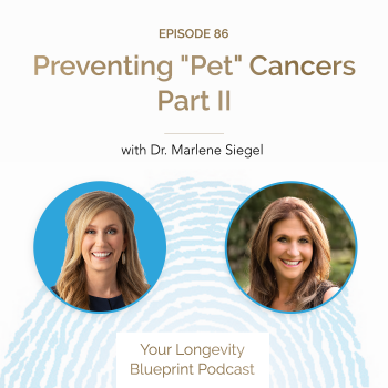 86. Preventing “Pet” Cancers Part II with Dr. Marlene Siegel